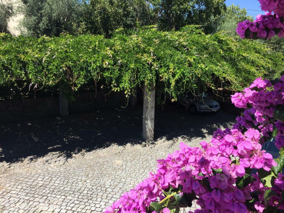 A Casa Da Celeste Fagilde Εξωτερικό φωτογραφία